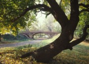 Central Park In New York City